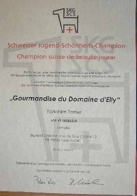 Du Domaine D'elly - NOUVELLE CHAMPIONNE SUISSE